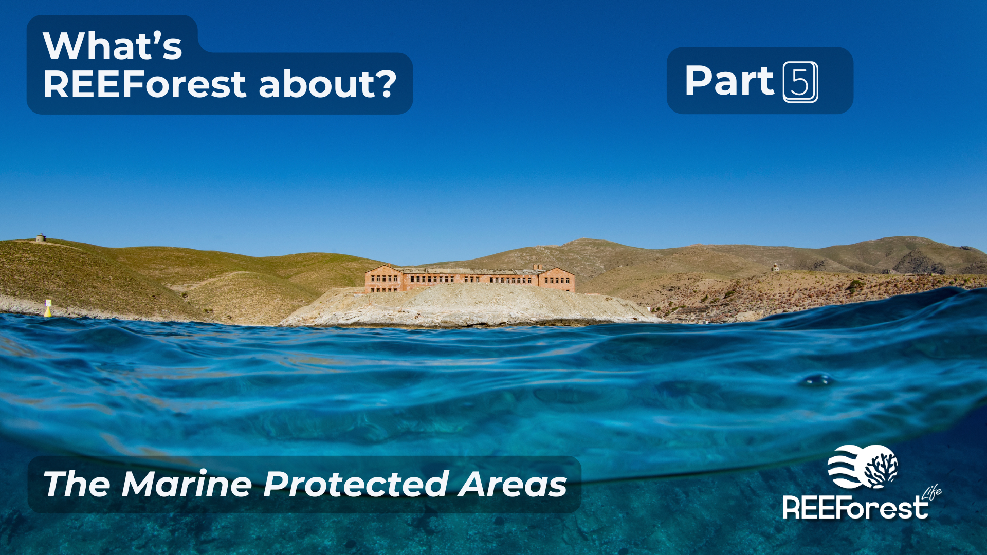 Quinto video: Le Aree Marine Protette
