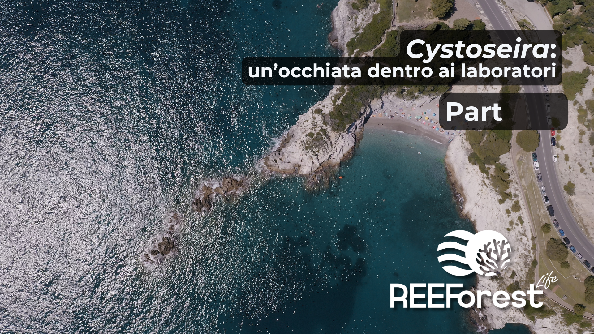 Un'occhiata dentro ai laboratori