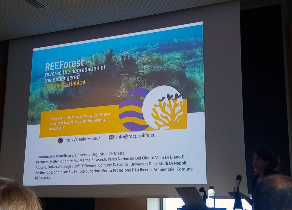 REEFOREST at 7th European Conference on Scientific Diving (ECSD7) in Roscoff, France, May 14-18, 2023
