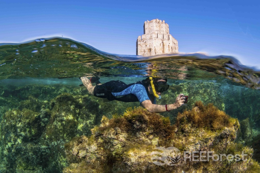 A diver from the HCMR team