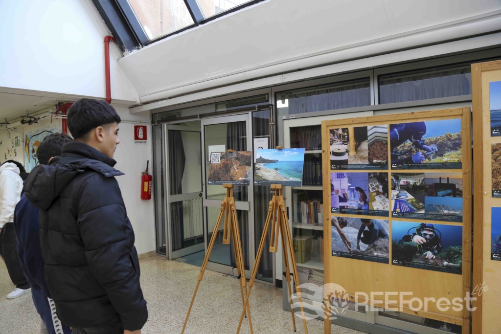 High school students enjoying the photo exhibition of the REEForest project