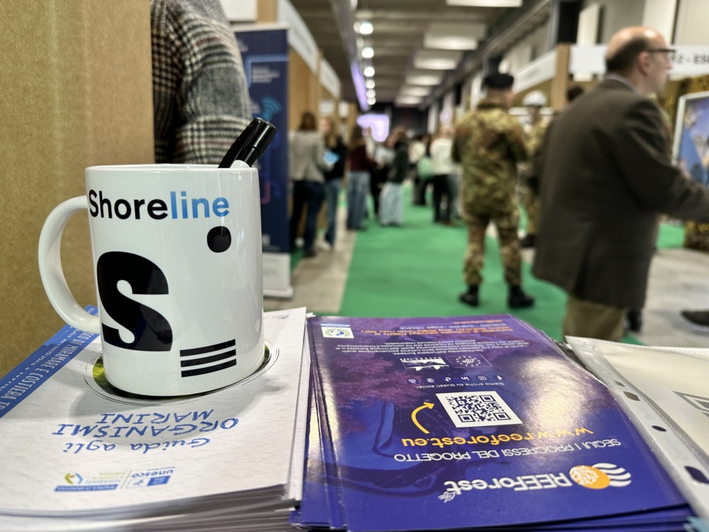 A mug with the Shoreline logo and some REEForest flyers