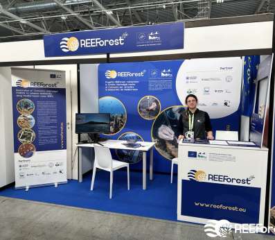 Our stand at the EUDI Show