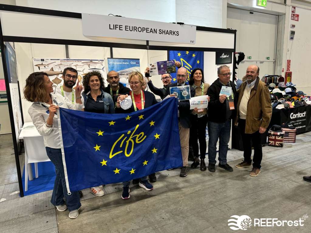 Our team at the LIFE projects meeting with representatives from other LIFE projects