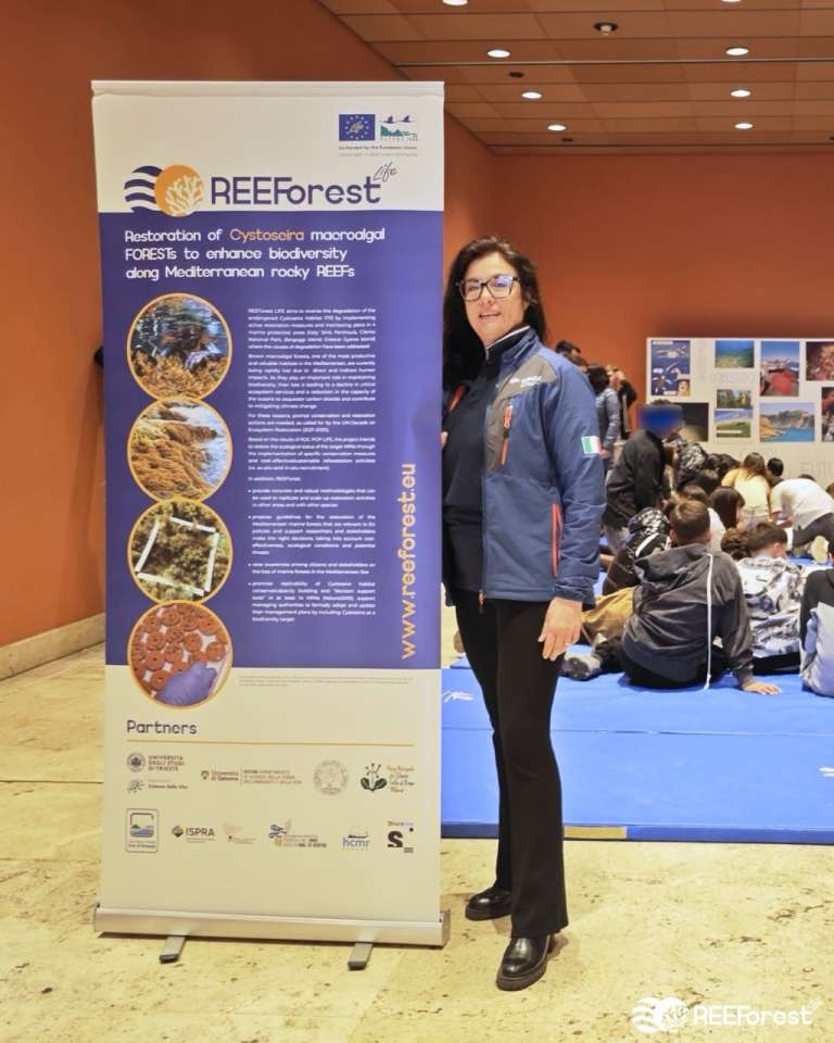 One of our colleagues standing next to the REEForest banner at the Science Festival in Rome during a workshop with a class of elementary school students