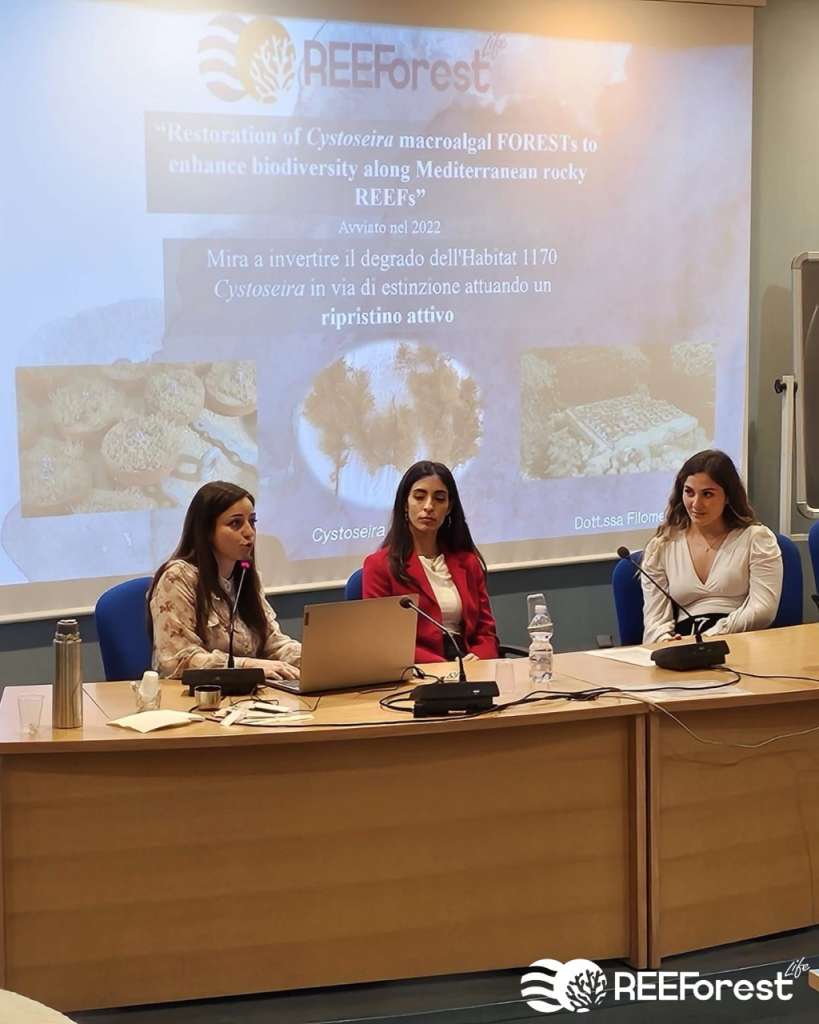 Our collaborator Filomena talking about her experience with the REEForest project