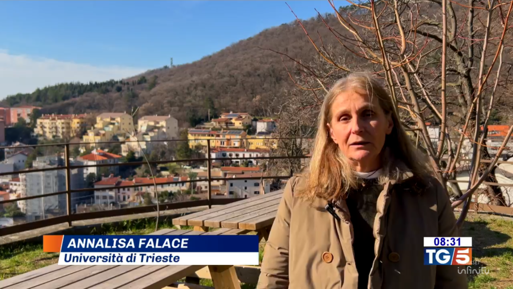 Our scientific coordinator, professor Annalisa Falace describing Cystoseira's ecosystem services