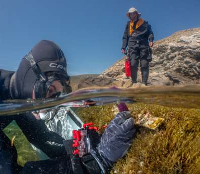 The image is split by a line of water: one of our researchers is monitoring Cystoseira s.l. growth underwater with a caliber, while another researchers is standing on the reef outside