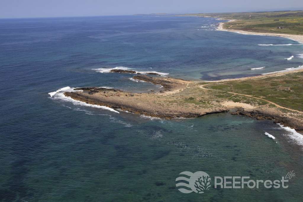A view from above of the Peninsula of Sinis