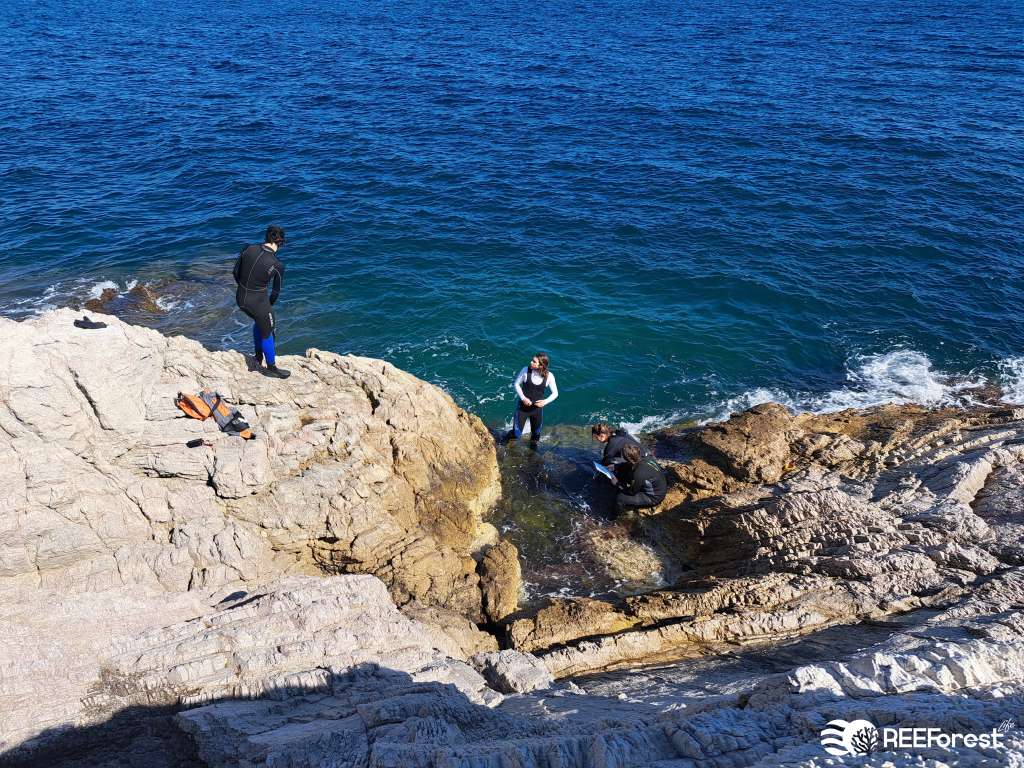 Our researchers in Bergeggi Island during the monitoring activity