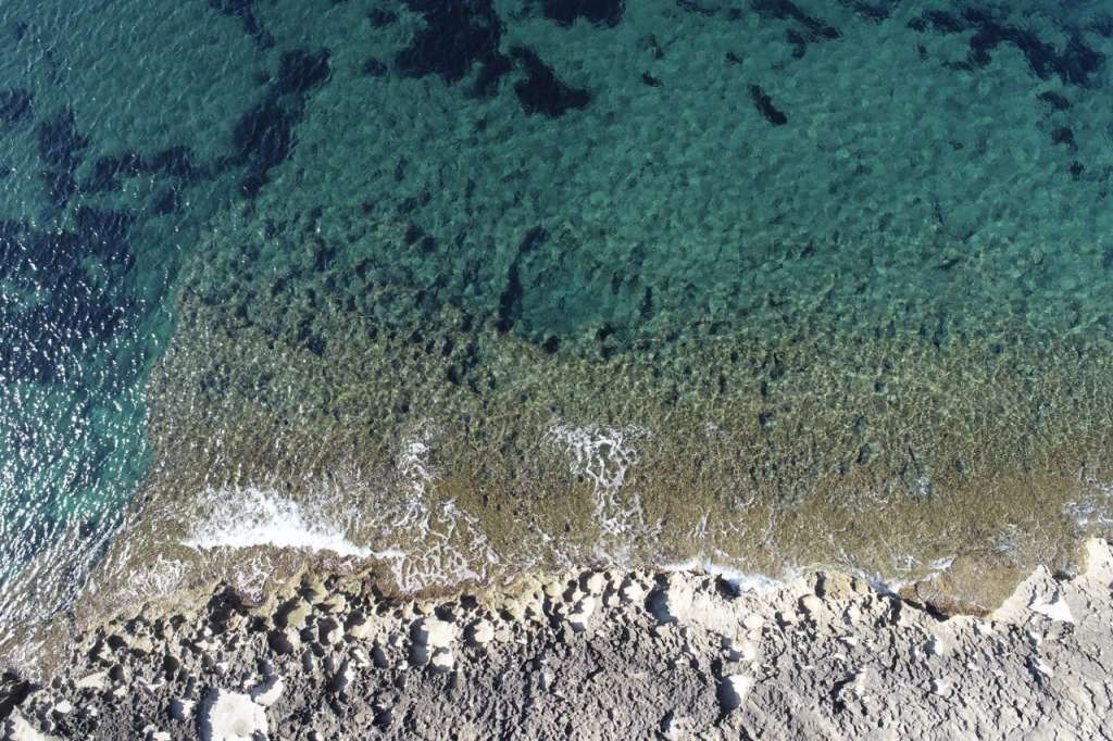 A view from above of a rocky reef: on the lower third of the image, we can see the reef outside of the water. Waves are crashing on the reef. On the upper two thirds of the image we can see the seabed through the cristalline water and we can see the subtidal Cystoseira growing on the reef where waves come to crash