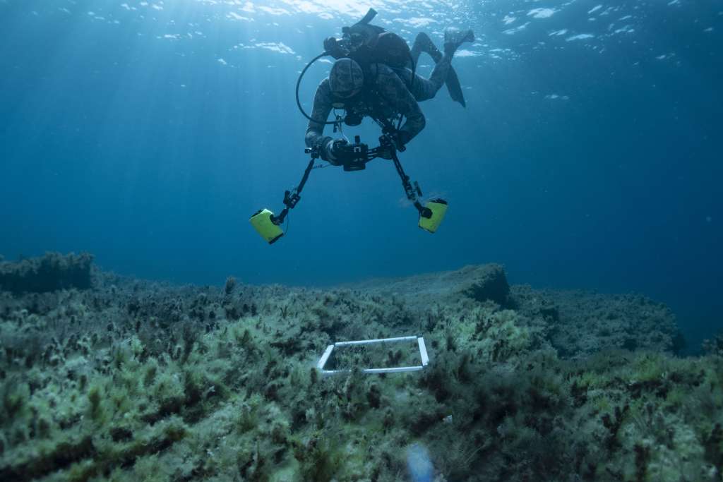 A diver hovering above the reef holds an underwater camera with two yellow flashes. He is trying to capture an image of a photo square posed on top of the rich vegetation covering the rocky reef.