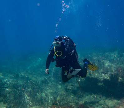Our researcher Francesco Rendina in full diving gear hovers above a reef teeming with marine life. The seafloor below is densely covered with brown and tan algae and rocky formations. Sunlight filters down through the water creating shimmering patterns, and small fish can be seen swimming among the algae.