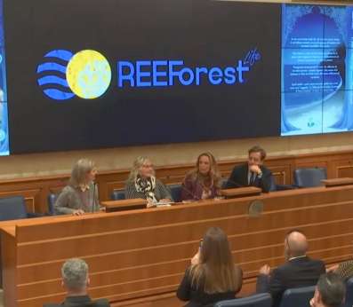 The press conference panel with the REEForest Life project logo prominently displayed on the central screen. The logo features blue waves and a yellow circle with algae symbols. Four speakers (Annalisa Falace, the conference host, Daniela D'Andrea, Yanez Fallacara) are seated at the panel desks, with promotional materials for the children's book visible on screens to either side. The audience remains engaged in the tiered seating area of the Senate chamber.