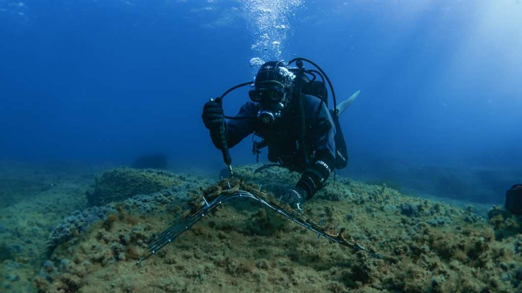 A diver is working underwater with a screw. he is hovering right above the rocky seafloor and holding a screwdriver to fix into place some of the clay disks used for algae restoration. The disks are placed on a metallic net and the diver is securing the disks to the metal structure.