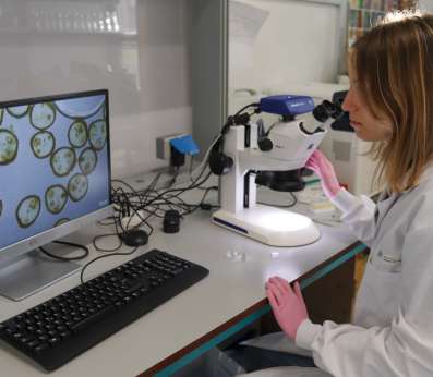 A female researcher in a white lab coat stands at a laboratory bench, looking at a large computer monitor displaying a highly magnified microscope image of multiple round cross-sections of Cystoseira s.l. receptacles. The circular sections show green cell walls and internal structures clearly against a bright background. A stereo microscope is positioned to her right.