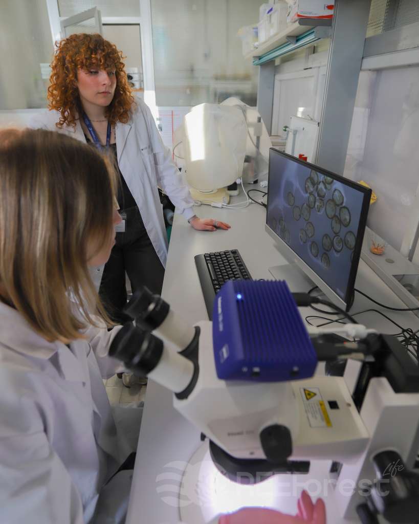 Two female researchers in white lab coats work together at a laboratory bench. One sits at the Zeiss stereo microscope examining a specimen, while the other stands beside her observing a computer monitor displaying magnified circular cross-sections of Cystoseira s.l. apices.