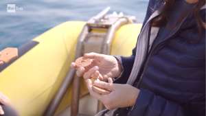 In the foreground, a woman's hands holding two clay disks used to grow new algae of the Cystoseira sensu lato group. She is standing on a yellow boat and the sea can be seen in the background.