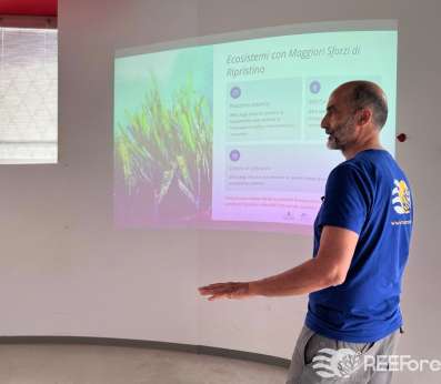 Saul Ciriaco from the Shoreline team, wearing a blue REEForest-branded t-shirt, stands sideways in front of a projected slide titled Ecosistemi con Maggiori Sforzi di Ripristino (Ecosystems with the Greatest Restoration Efforts). The slide lists three marine ecosystem types — Posidonia oceanica meadows, reef corals, and Cystoseira sensu lato forests — with statistics on the proportion of restoration efforts dedicated to each. An underwater image of green seagrass is projected on the left side of the screen.