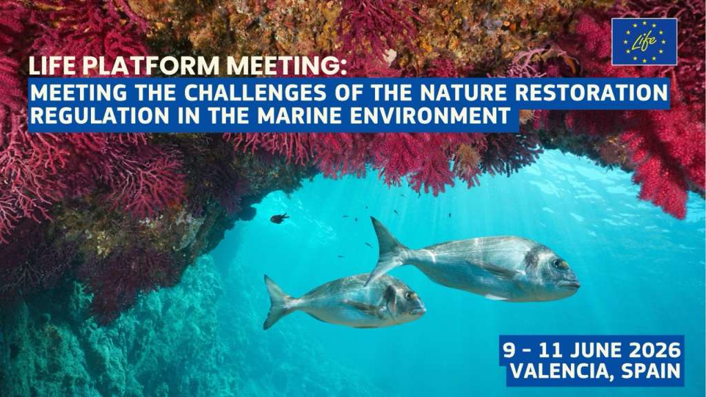 Promotional banner for the LIFE Platform Meeting titled "Meeting the Challenges of the Nature Restoration Regulation in the Marine Environment," scheduled for 9–11 June 2026 in Valencia, Spain. The background image is an underwater photograph showing two silvery fish swimming beneath an overhang of vivid red and pink gorgonian corals and encrusting organisms, set against clear turquoise water. The EU LIFE programme logo appears in the upper right corner.
