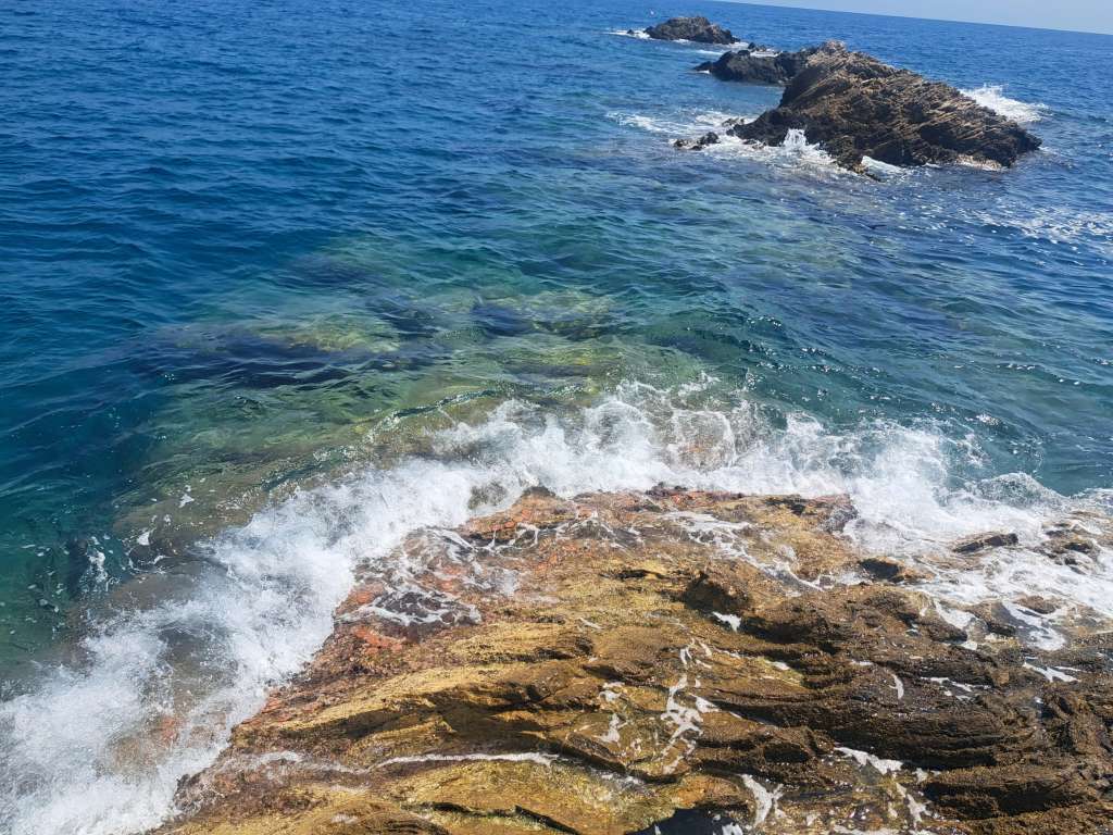 Elevated view of a rocky Mediterranean shoreline in Bergeggi under bright sunlight. Waves crash over layered rock in shades of gold, brown and orange-red, with clear turquoise water revealing submerged rock and algae beneath the surface. A cluster of small dark rocky outcrops rises from the sea in the middle distance under a pale blue sky. Small orange-red ceramic restoration discs carrying Cystoseira s.l. seedlings are visible among the rocks at the wave-swept intertidal zone, blending into the natural substrate of the transplantation site.